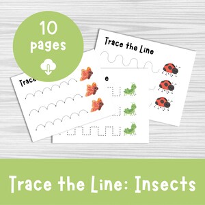Insect Tracing Pages: Preschool Activity Worksheet (PDF)