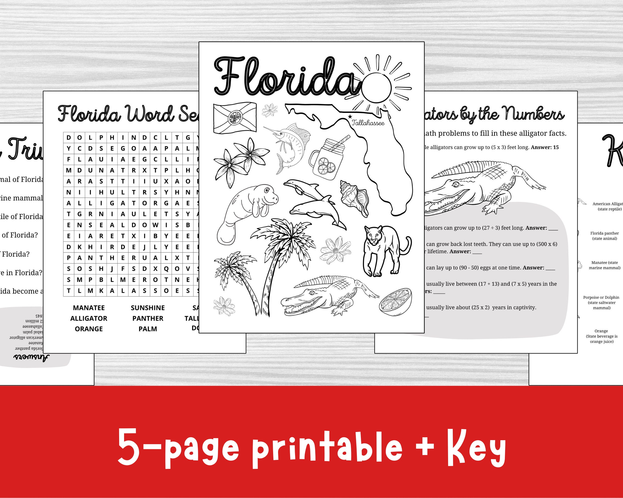 Set of 5 Florida Worksheets, State of Florida Printable, Word Search
