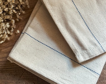 May include: Folded cream-colored cloth napkins with a herringbone pattern and a single blue stripe. The napkins are made of a textured fabric and are neatly stacked. Dried flowers are in the background.