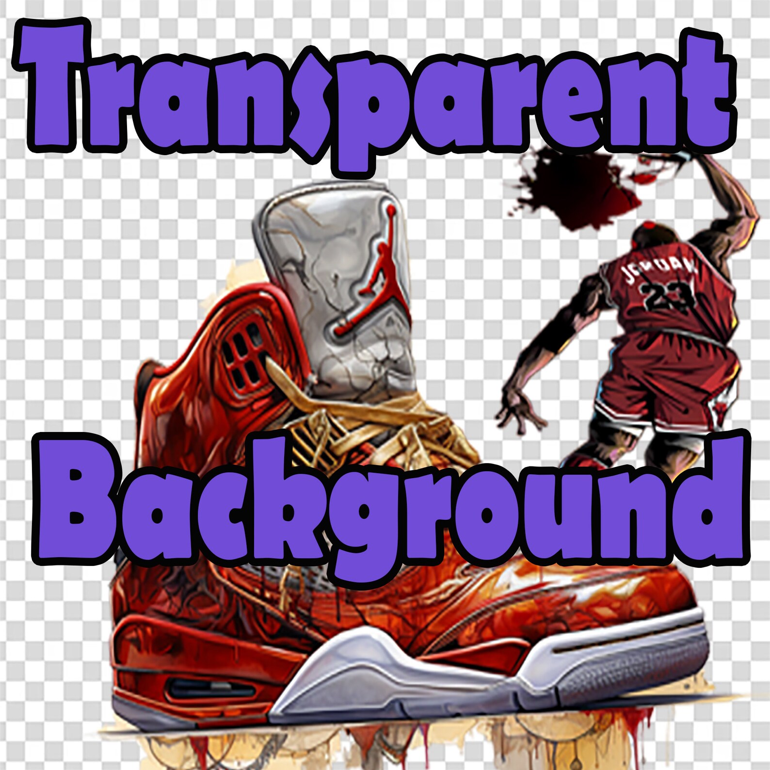 sneaker canvas