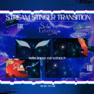 Solo Leveling Themed Animated Stinger Transition for stream | Twitch Overlays and Scenes/ Stream Transition/ Anime Stream