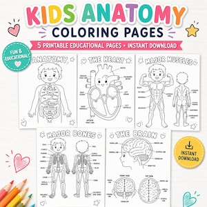 以下が含まれることがあります： 「Kids Anatomy Coloring Pages」と題された5枚の印刷可能な教育用塗り絵セット。白黒の線画には、心臓、筋肉、骨、脳など、人体の図解と英語のラベルが明記されており、学習用教材として構成されています。