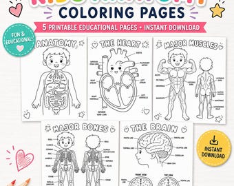 May include: A set of five printable educational coloring pages titled Kids Anatomy Coloring Pages. The black and white line art sheets feature labeled diagrams of the human body, including the heart, muscles, bones, and brain with clear text.