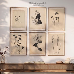 Vintage Botanical Print Set of 6, Antique Neutral Flower Gallery Wall Art, Rustic Farmhouse Home Decor, PRINTABLE Digital Wall Art, #10