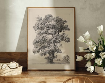 Vintage Oak Tree Study, Botanical Drawing, Neutral Tone Print, Engraving Landscape, Rustic Farmhouse Decor, PRINTABLE Digital Wall Art, #29