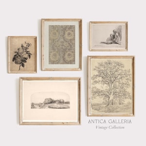 Neutral Vintage Gallery Wall Set of 5 | Light Artwork | Antique Sketch | Fine Art Prints | Farmhouse Decor | PRINTABLE Digital Wall Art | #3
