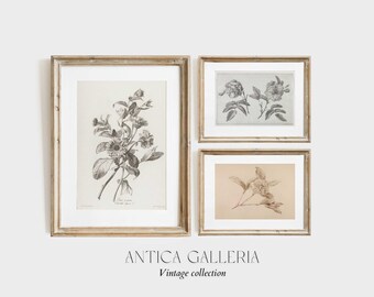 Vintage Botanical Sketch Prints, Cottagecore Wall Decor (Digital Download)