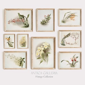 Vintage Botanical Gallery Wall SET Of 9 Prints, Spring Flowers, Farmhouse Home Decor, Kitchen Art Print, PRINTABLE Digital Wall Art, #9
