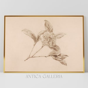 Antique Botanical Sketch Print, Neutral Farmhouse Decor, Vintage Flower Drawing, Minimalist Floral Sketch, PRINTABLE Digital Wall Art, #35