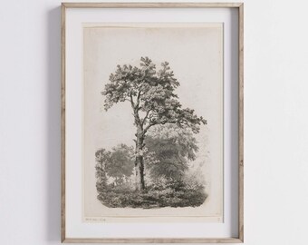 ビンテージ　風景画 樹木 ラフでニュートラルなヴィンテージ風景画、アンティークな木の絵、植物