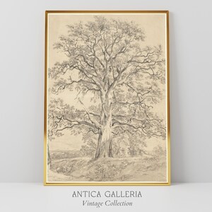 Vintage Oak Tree Sketch | Muted Botanical Drawing | European Fine Art Print | Rustic Farmhouse Decor | PRINTABLE Digital Wall Art | #268