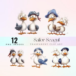 graziosi gabbiani marinai clip art, acquerello marino spensierato gabbiano illustrazione PNG, stupidi cartoni animati uccelli marini grafica arte, divertente arte aviaria