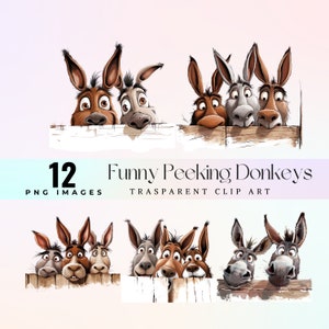 Clipart drôle d'ânes furtifs, aquarelle rires coquins mule faces illustration PNG, âne original fait face à art graphique, art de créatures de bande dessinée