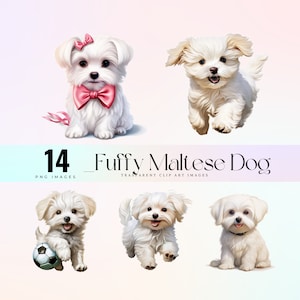 Pluizige Maltese hond illustraties, schattige Maltese hond illustratie PNG, kleine kleine witte puppy grafische kunst, zachte Malti Terriër artwork 300 DPI