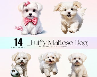 Fluffy Maltese Dog Clip Art, Puppy Illustration (PNG)