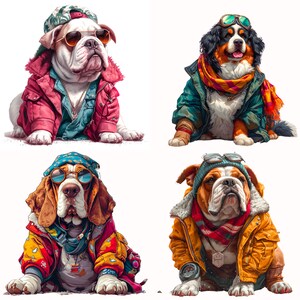May include: Four dogs wearing colorful winter jackets and sunglasses. The dogs are a bulldog, a Bernese Mountain Dog, a basset hound, and another bulldog.