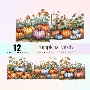Op de afbeelding: Een digitale illustratie van een pompoenveld met 12 pompoenen in verschillende kleuren, waaronder oranje, blauw en paars. De pompoenen zijn omringd door groene bladeren en bloemen. De tekst "Pumpkins Patch" en "TRANSPARENT CLIP ART" wordt boven de afbeelding weergegeven.