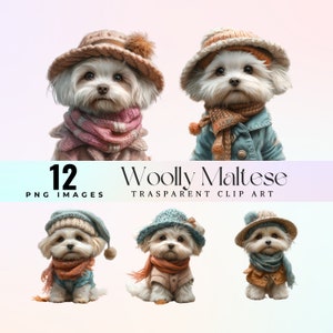 Winzige wollige Malteser Clip Art, kleine weiße wollige Flaumball Illustration PNG, schicke Malteser Welpen Pastell Grafik Kunst, weiche Maltipoo Kunst