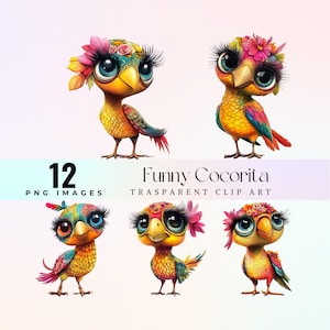 gracieux Cocorita Clip Art, illustration de perroquet aquarelle assez longs cils PNG, art graphique de perruche artistique de dessin animé, art aviaire chic