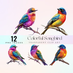 cute colorful songbird clip art, watercolor tiny chirper illustration PNG, lovely cartoon melodious bird graphic art, adorable songster art