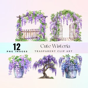 niedliche Glyzinien Blumen Clip Art, niedliche violette Blumen Illustration PNG, lebendige lila Blumensträuße Grafikkunst, künstlerische Glyzinien Kunst