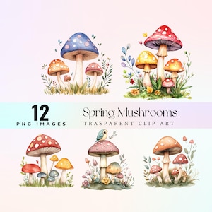Adorable clipart champignons de printemps, mignon champignon vénéneux doodles Illustration PNG, dessin animé joyeux printemps champignons art graphique et art bohème champignon féerique