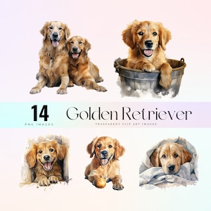 Watercolor Golden Retriever Clip Art: Dog PNG Bundle (Digital Download)