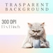 Angry Morning Coffee Cat Clip Art, Realistic Painting Grumpy Purebred ...