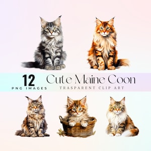 Clipart de mignons chats Maine coon, peinture réaliste Maine coon, illustration de bébé chats PNG, images de chaton numérique imprimable 300 dpi