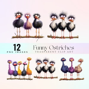 Lustige Strauße ClipArt, Aquarell Humor glückliche Strauße Illustration PNG, lustige Feder Kunst, Comic struthios Design, Vogel kichern Kunstwerk