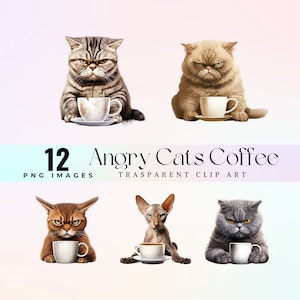 Mañana enojada Café gato clip art, pintura realista Grumpy purebred Cats ilustración PNG, buenos días clip art, gato loco caffè art