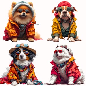 May include: Four dogs wearing colorful jackets and sunglasses. The dogs are a brown and white dog, a white dog, a brown dog, and a white and brown dog. The dogs are all wearing different styles of sunglasses and jackets.