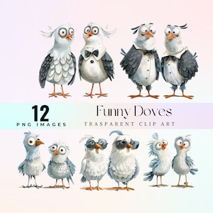 Imágenes prediseñadas de palomas divertidas, ilustración de palomas divertidas de acuarela PNG, arte gráfico de pájaros blancos de dibujos animados inteligentes, boceto de paloma caprichoso 300 DPI