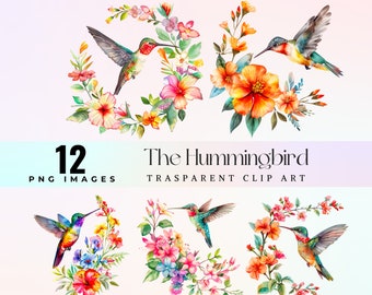 Cute hummingbirds clip art, watercolor  tropical birds with flowers illustration PNG, lovely Colibri graphic art, floral tiny birds artwork