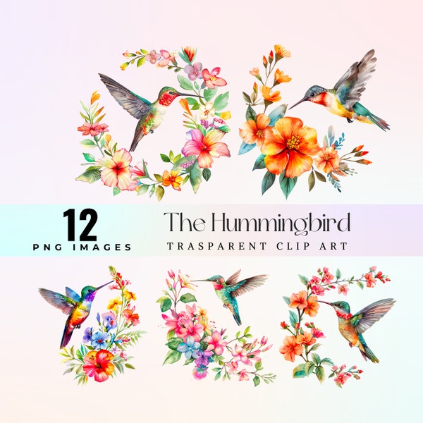 Cute hummingbirds clip art, watercolor  tropical birds with flowers illustration PNG, lovely Colibri graphic art, floral tiny birds artwork