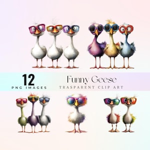Funny geese clip art, cute ducks PNG, colorful goslings image, cartoon bird digital art, quirky animals clipart, playful duck artwork