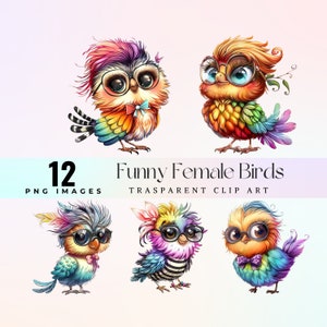 Imágenes prediseñadas de pájaros femeninos divertidos, acuarela divertida pequeña ilustración de pajaritos PNG, arte gráfico de amantes de las aves románticas de dibujos animados, arte de encantos alegres