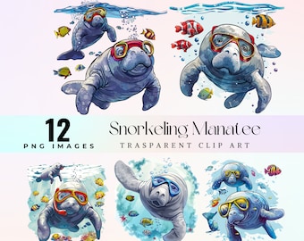 Funny Snorkeling Manatee Watercolor Clipart: Sea Cow PNG (300 DPI)