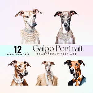 Image clipart portrait de race lévrier mignon, élégante illustration Galgo PNG, charmants lévriers en art graphique robe de soirée 300 DPI