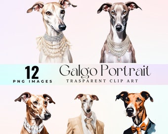 Elegant Greyhound Portrait Clip Art: Galgo Dog PNG (300 DPI)