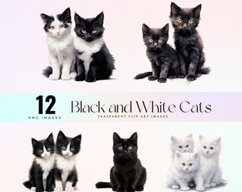 Black and white cats clip art realistic painting, Tuxedo Cat illustration PNG, White and Black funny cats Images, digital printable clip art