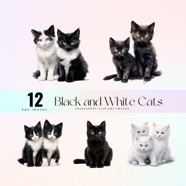 Black and white cats clip art realistic painting, Tuxedo Cat illustration PNG, White and Black funny cats Images, digital printable clip art