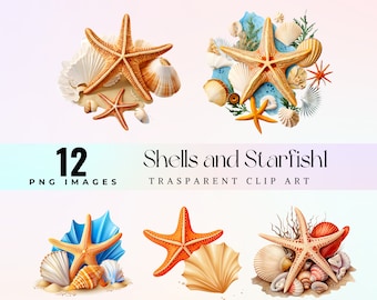 Muschel, Seestern Clipart: Nautische PNG Grafiken (digitaler Download)