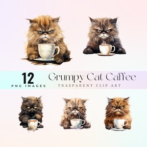 Acuarela Grumpy cat café clip art, pintura Grumpy purebred Cats ilustración PNG, buenos días clip art, gato loco caffè art