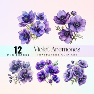 carino clip art di anemoni viola, illustrazione di bouquet di fiori viola dell'acquerello PNG, arte grafica petalo di viola dolce, mestiere di carta, diari spazzatura