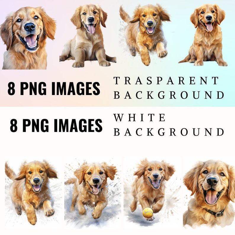 Watercolor Golden Retriever Clipart: Sweet Dog PNG Graphics (digital ...