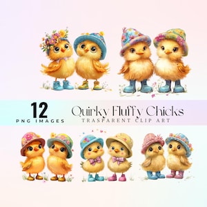 Clip art di pulcini dolcissimi, illustrazione di graziose galline primaverili in formato png, adorabile grafica di pulcini dei cartoni animati, soffice opera d'arte di uccellini gialli
