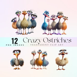 Gekke struisvogels illustraties, aquarel humor Happy Struisvogels illustratie PNG, grappige savana dieren png, schattige lachende struisvogelafbeeldingen 300 DPI