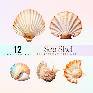 Può includere: Dodici immagini digitali di diverse conchiglie marine in diversi colori e forme. Le conchiglie sono isolate su uno sfondo bianco. Il testo "Sea Shell Transparent Clip Art" è visualizzato nella parte superiore dell'immagine.