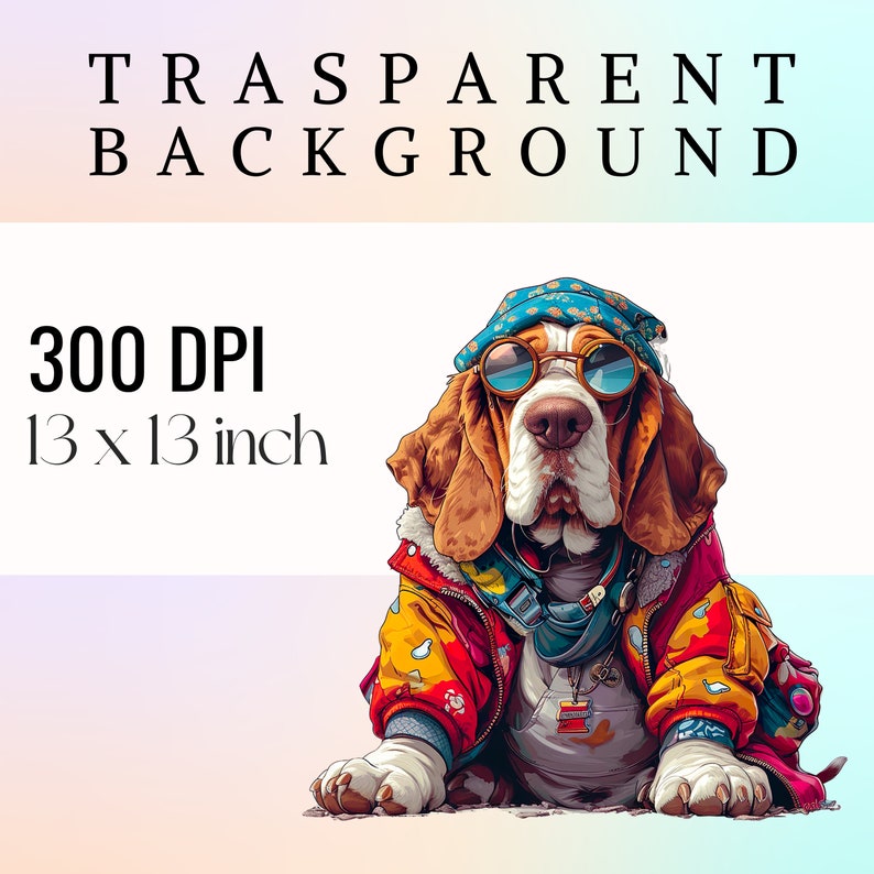 May include: A cartoon illustration of a basset hound wearing a colorful jacket, sunglasses, and a bandana. The dog is sitting on a white background with the text "TRANSPARENT BACKGROUND 300 DPI 13 x 13 inch" above it.